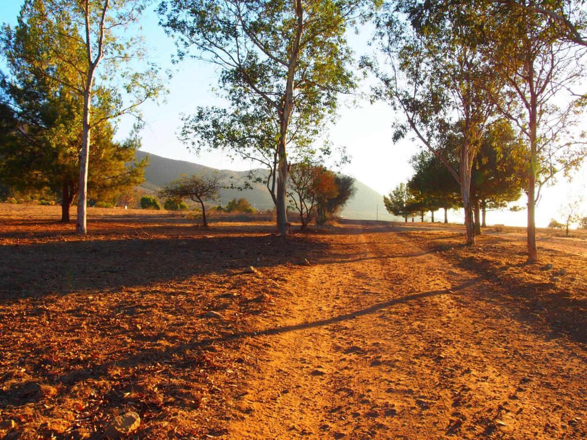 Casa Mayoral B&B Pet Friendly Valle de Guadalupe Exteriör bild