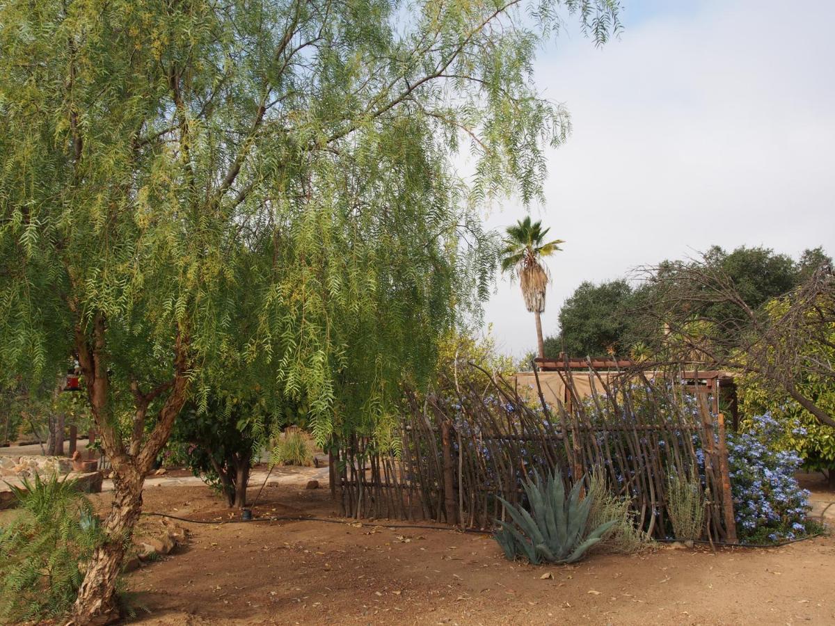 Casa Mayoral B&B Pet Friendly Valle de Guadalupe Exteriör bild
