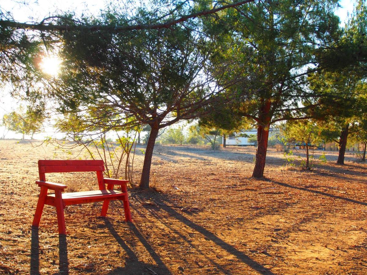 Casa Mayoral B&B Pet Friendly Valle de Guadalupe Exteriör bild