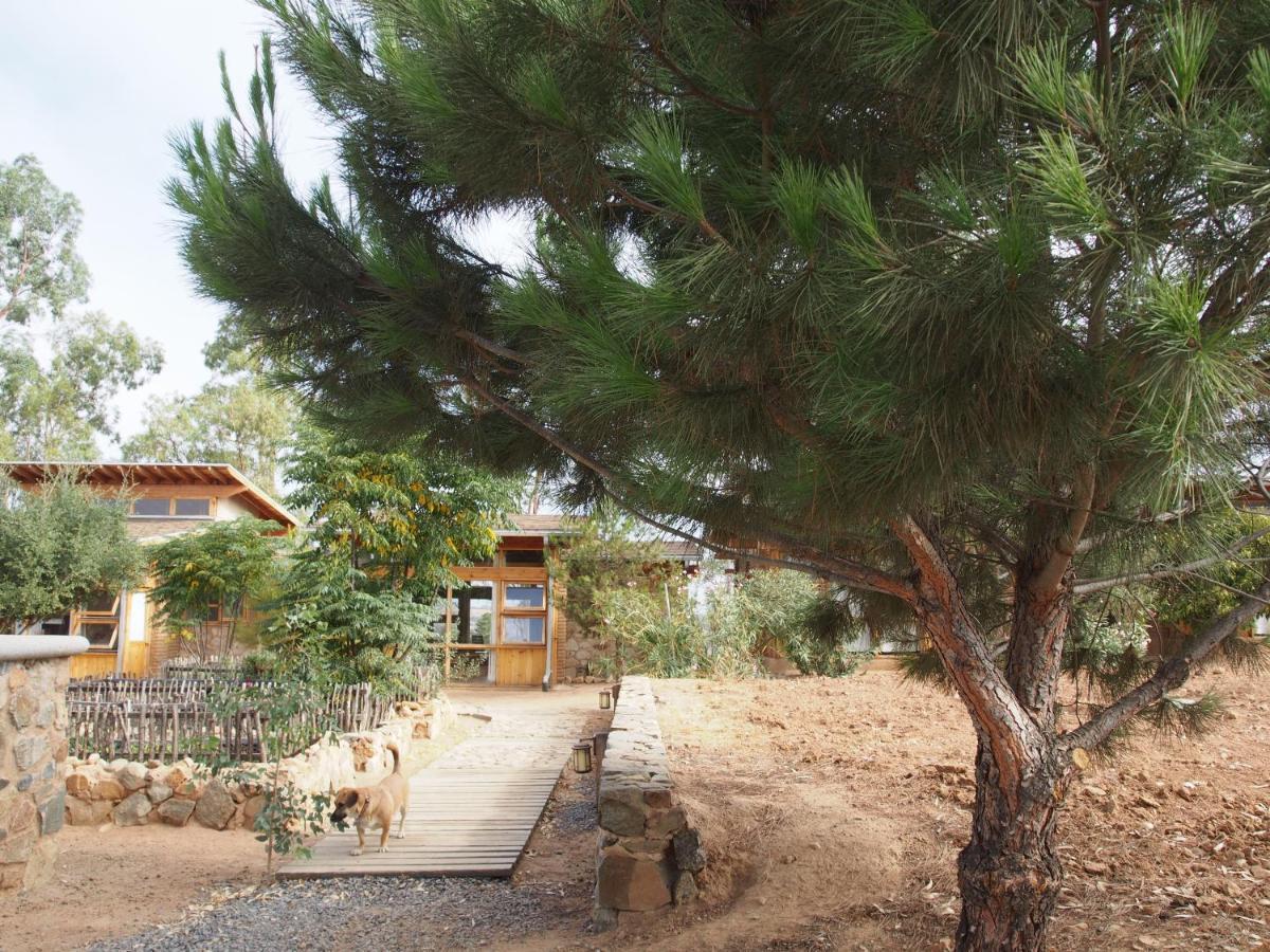 Casa Mayoral B&B Pet Friendly Valle de Guadalupe Exteriör bild