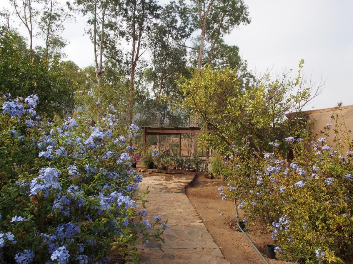 Casa Mayoral B&B Pet Friendly Valle de Guadalupe Exteriör bild