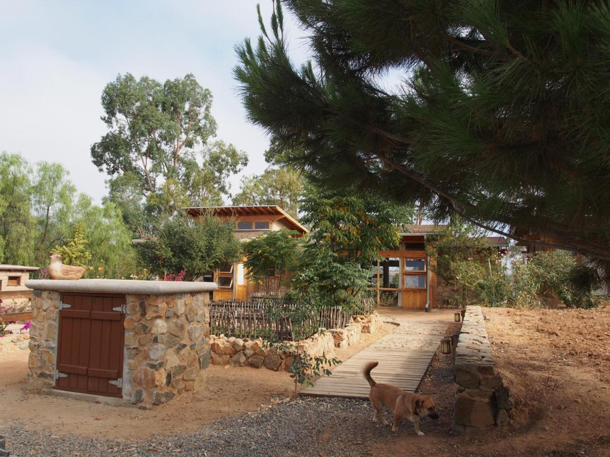 Casa Mayoral B&B Pet Friendly Valle de Guadalupe Exteriör bild