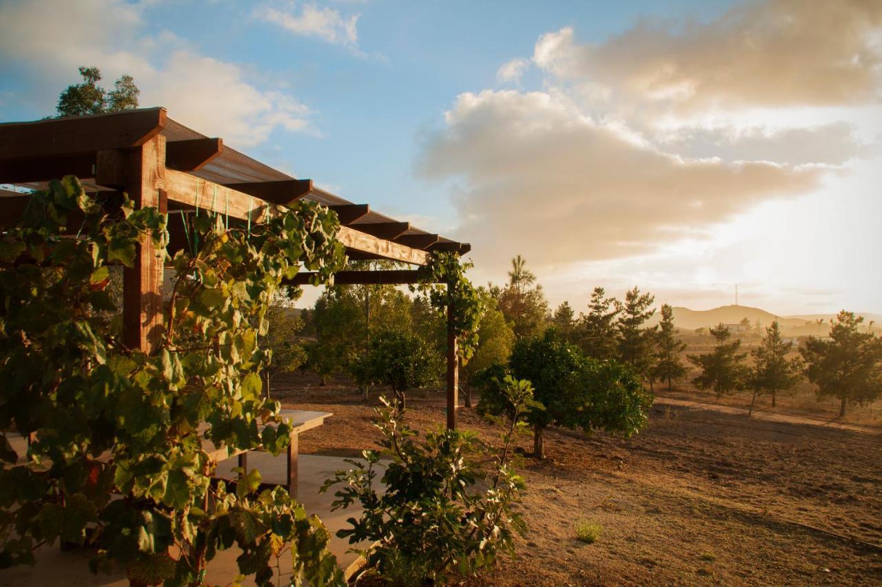 Casa Mayoral B&B Pet Friendly Valle de Guadalupe Exteriör bild