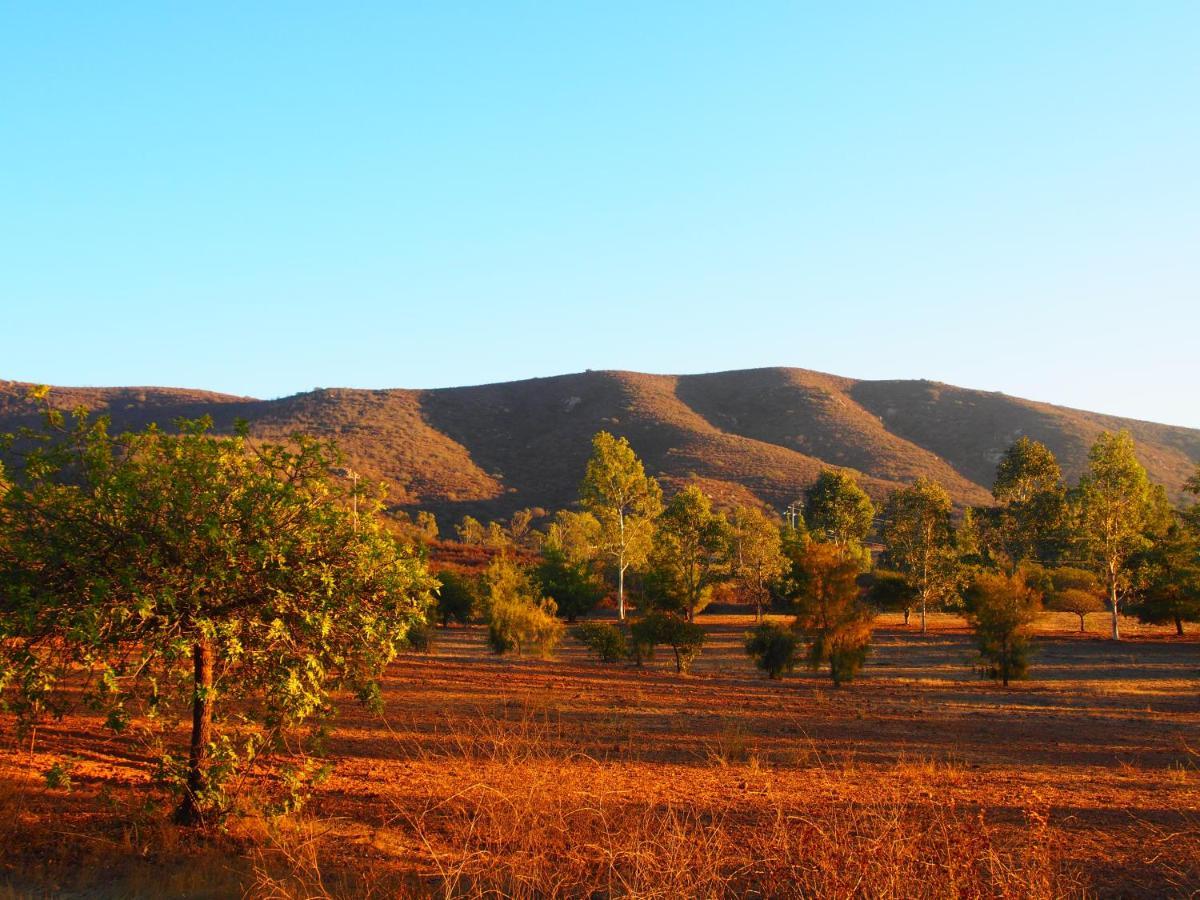 Casa Mayoral B&B Pet Friendly Valle de Guadalupe Exteriör bild