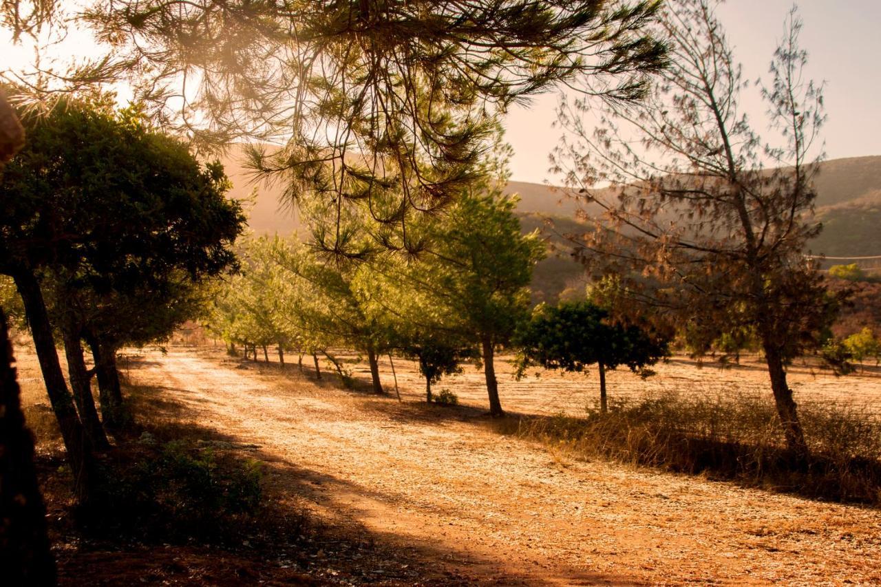 Casa Mayoral B&B Pet Friendly Valle de Guadalupe Exteriör bild