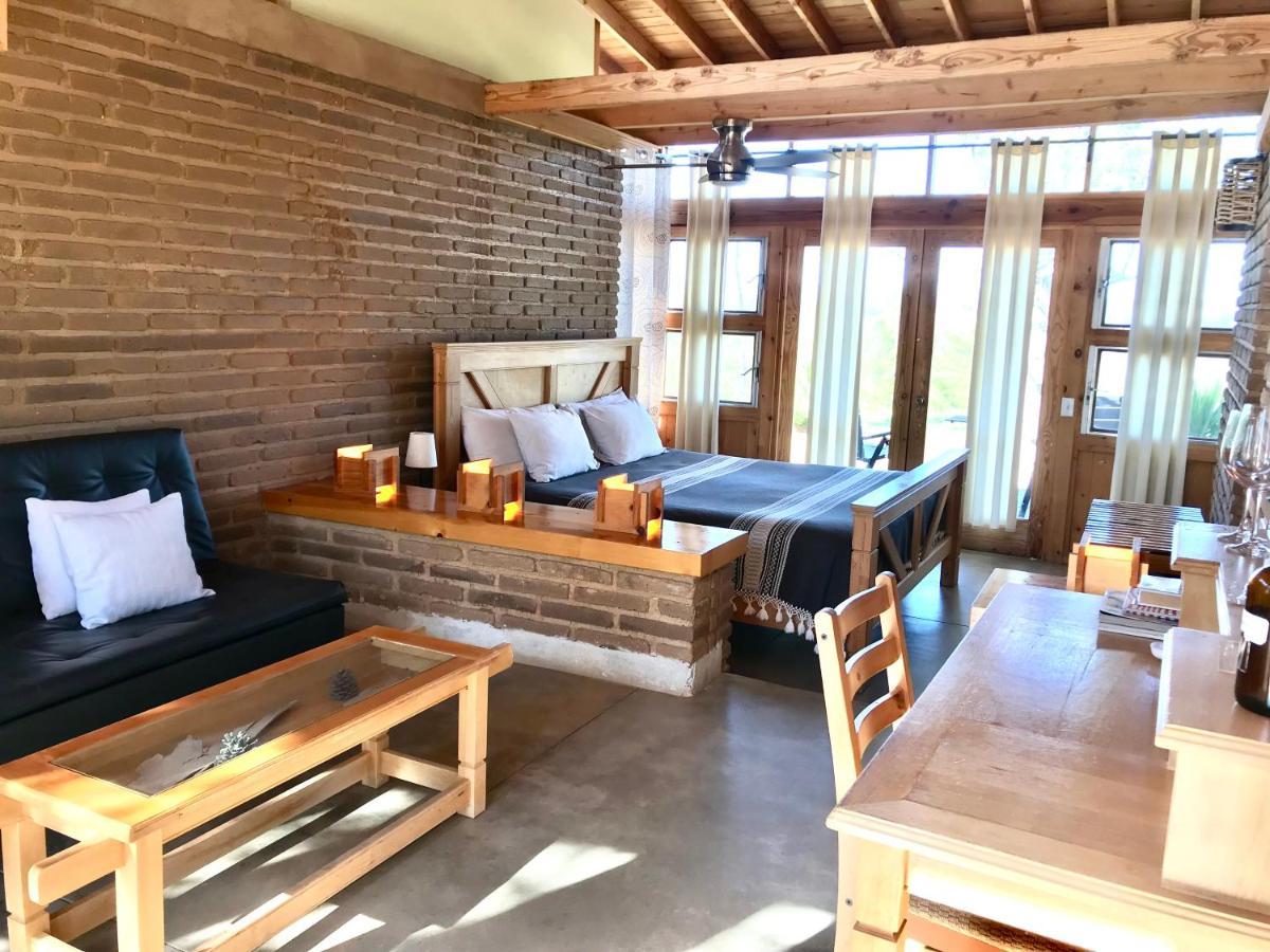 Casa Mayoral B&B Pet Friendly Valle de Guadalupe Exteriör bild