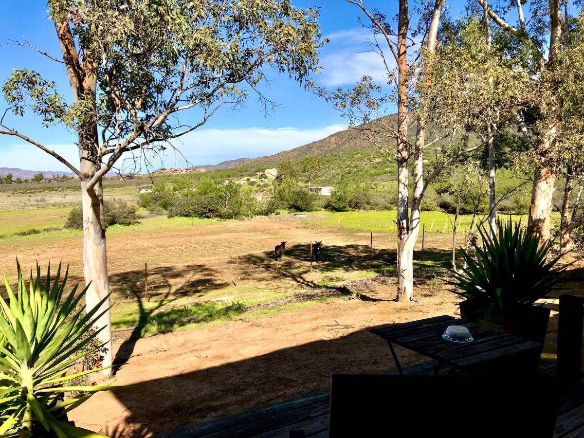 Casa Mayoral B&B Pet Friendly Valle de Guadalupe Exteriör bild