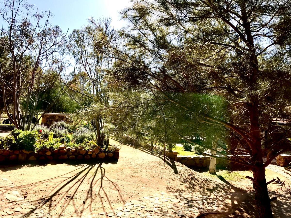 Casa Mayoral B&B Pet Friendly Valle de Guadalupe Exteriör bild