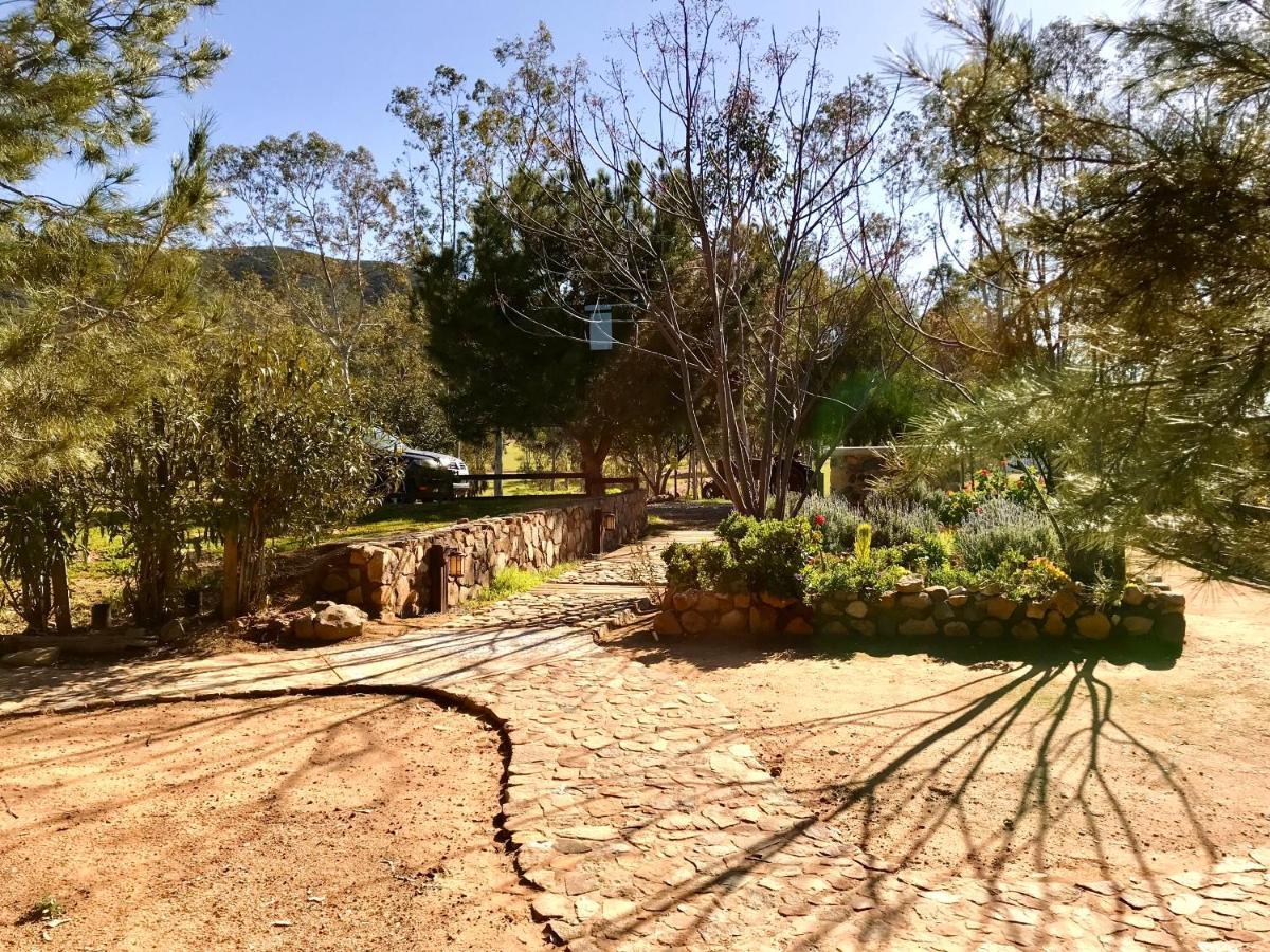 Casa Mayoral B&B Pet Friendly Valle de Guadalupe Exteriör bild