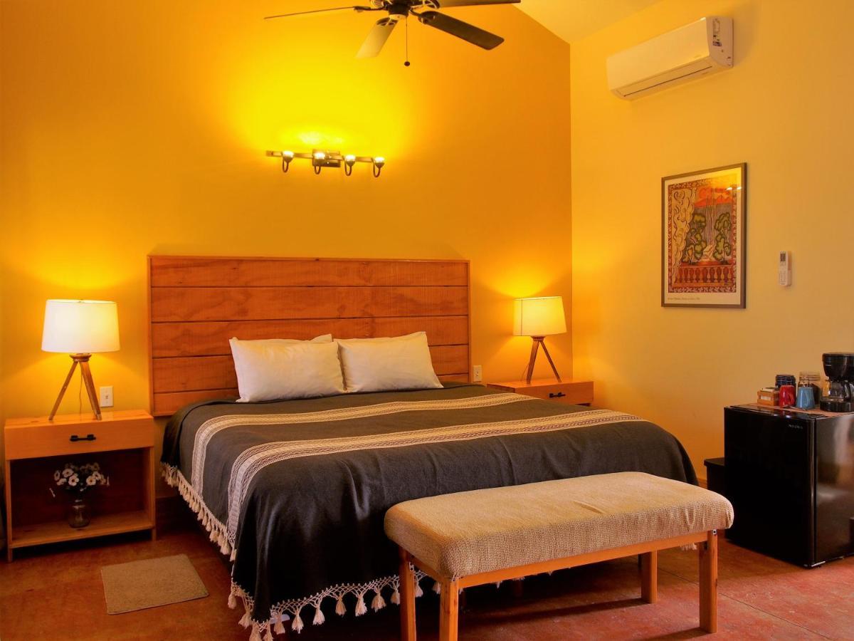 Casa Mayoral B&B Pet Friendly Valle de Guadalupe Exteriör bild
