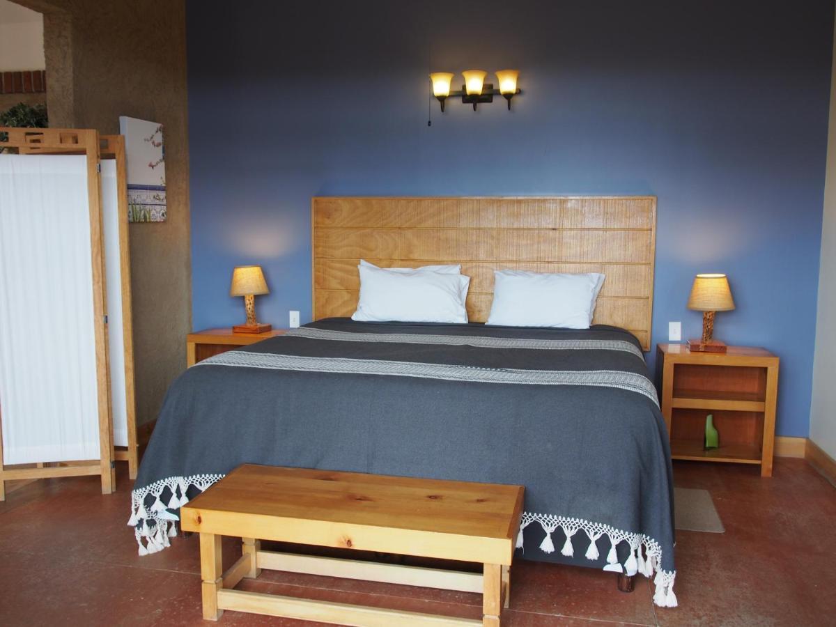 Casa Mayoral B&B Pet Friendly Valle de Guadalupe Exteriör bild